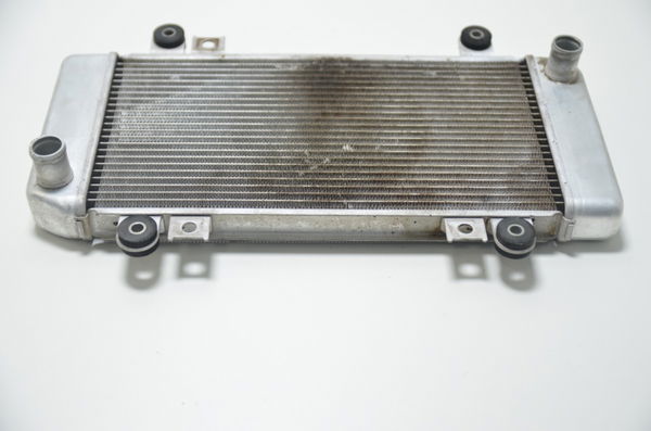 Radiador Kawasaki Ninja 250r 08-12 Orig