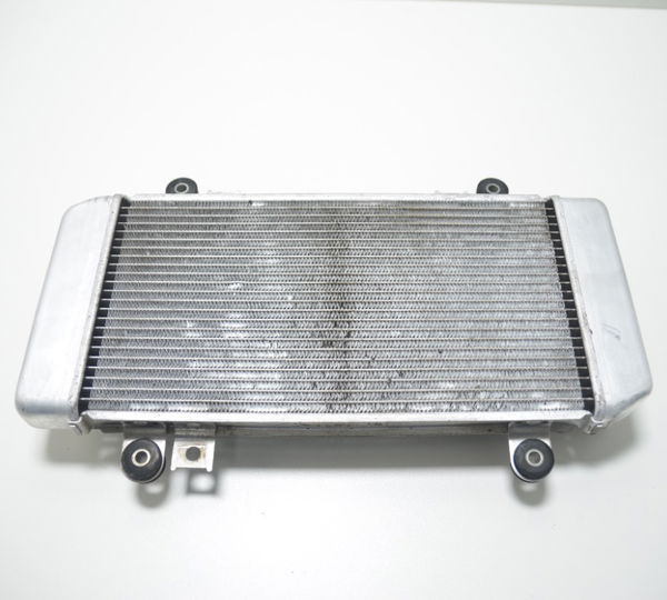 Radiador Kawasaki Ninja 250r 08-12 Orig