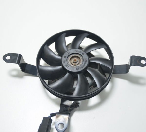 Ventoinha Radiador Kawasaki Ninja 250r 08-12 Orig