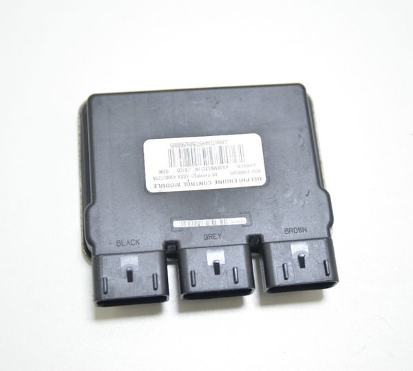 Modulo Injeção Harley Road Glide Touring 114