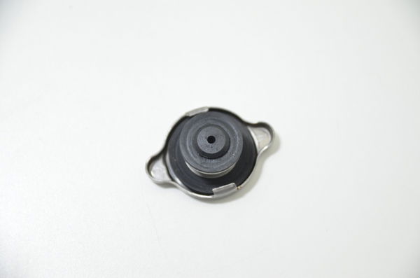 Tampa Radiador Bmw S 1000 S1000 Rr 20-22 Orig