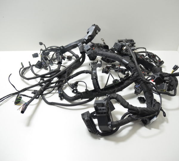 Chicote Principal C/ Avaria Bmw S 1000 S1000 Rr 20-22 Orig