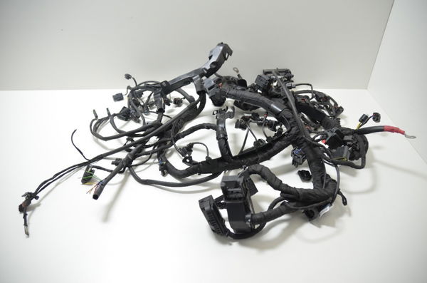 Chicote Principal C/ Avaria Bmw S 1000 S1000 Rr 20-22 Orig