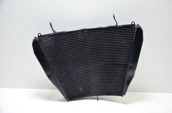 Radiador Água Honda Cbr 1000rr 1000 Rr 08-11 Orig