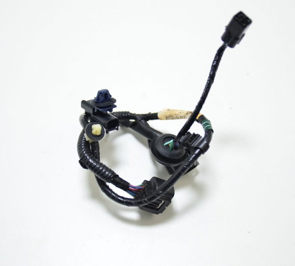 Chicote Lanterna Tras Esquerda Gl 1800 Gold Wing 2019 Tour