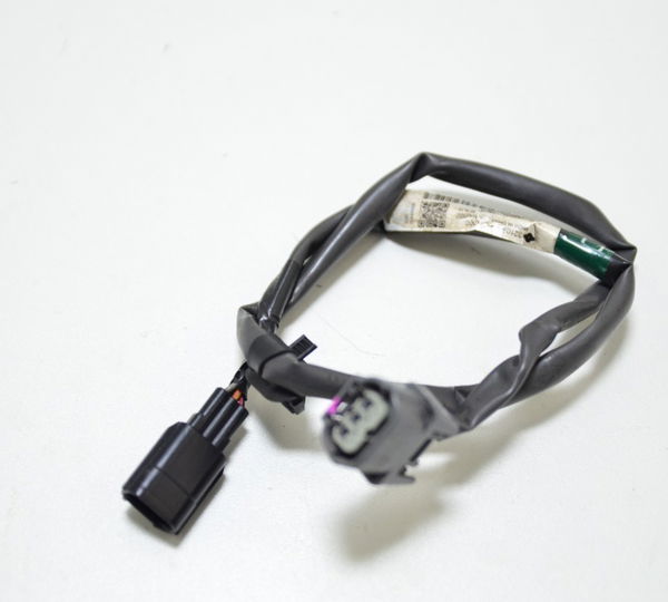 Chicote Gl 1800 Gold Wing 2019 Tour