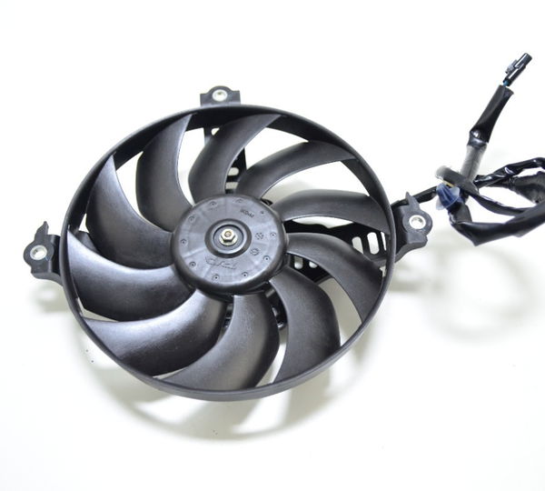 Ventoinha Radiador Gl 1800 Gold Wing 2019 Tour