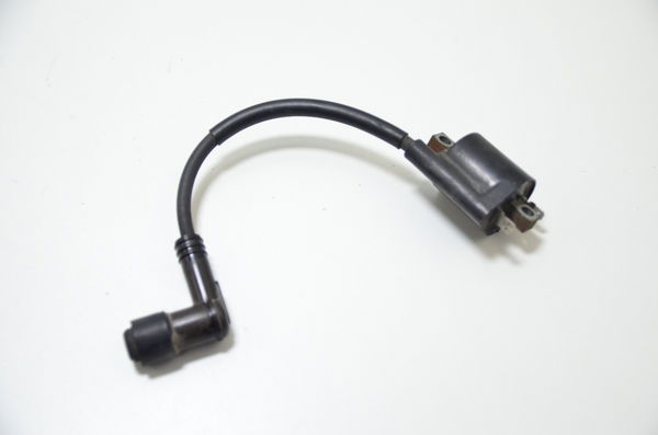 Bobina Ignição Yamaha Ys 250 Fazer 10-17 Orig