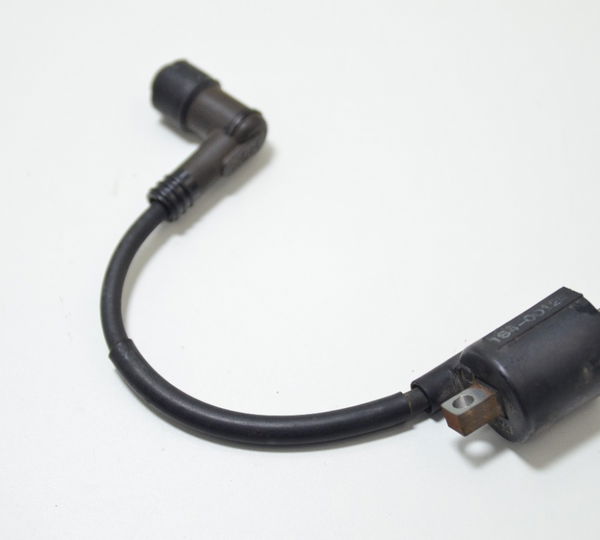 Bobina Ignição Yamaha Ys 250 Fazer 10-17 Orig