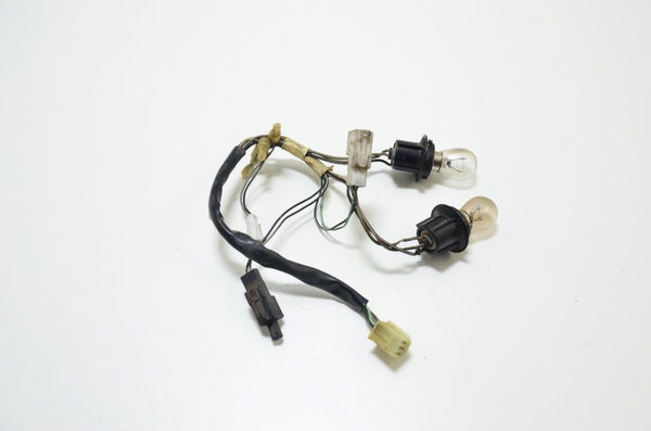 Chicote Lanterna Traseira Dl 1000 V Strom 03-05 Orig