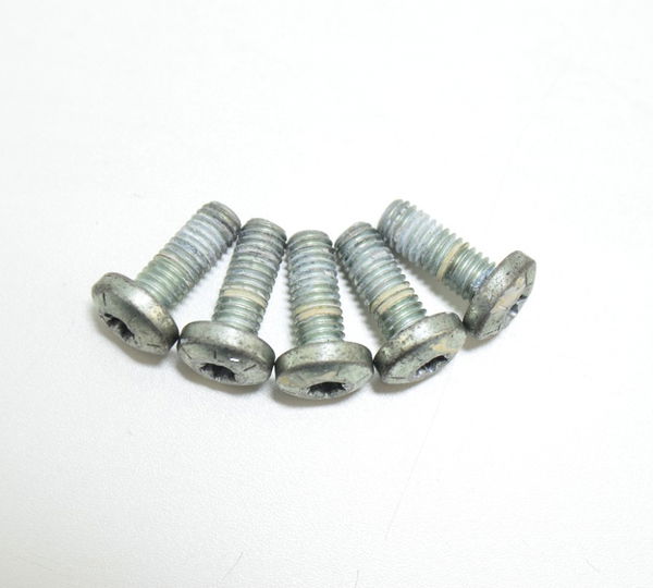 Parafuso Disco Freio Traseiro Harley Dyna Fxdc 2009 Orig