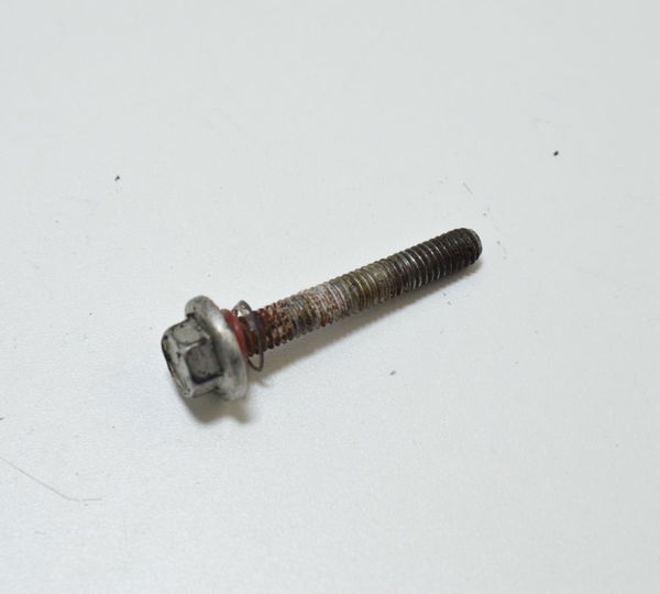 Parafuso Tampa Primaria Harley Touring Electra Glide 2010