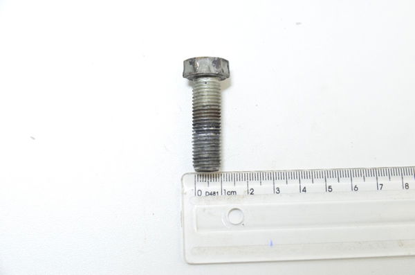 Parafuso 4,2x0,8 Cm Harley Touring Electra Glide 2010 Orig