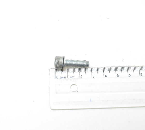 Parafuso 2,7x0,4 Cm Harley Touring Electra Glide 2010 Orig