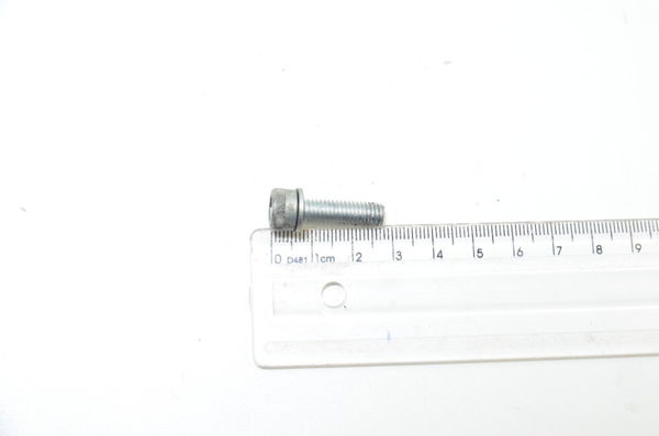 Parafuso 2,7x0,4 Cm Harley Touring Electra Glide 2010 Orig