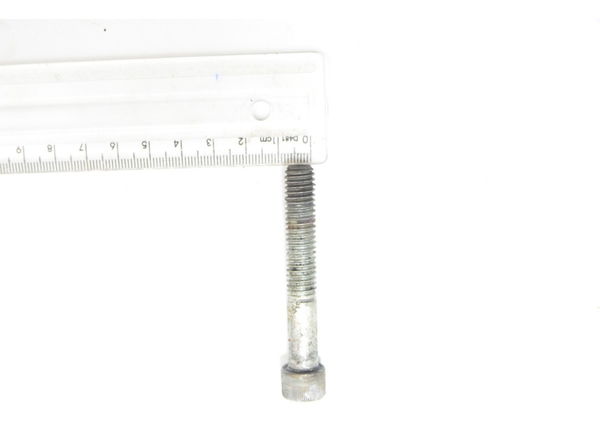 Parafuso 7,2x0,6 Cm Harley Touring Electra Glide 2010 Orig