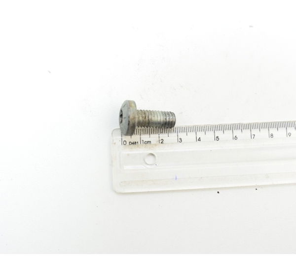 Parafuso 2,6x0,6 Cm Harley Touring Electra Glide 2010 Orig