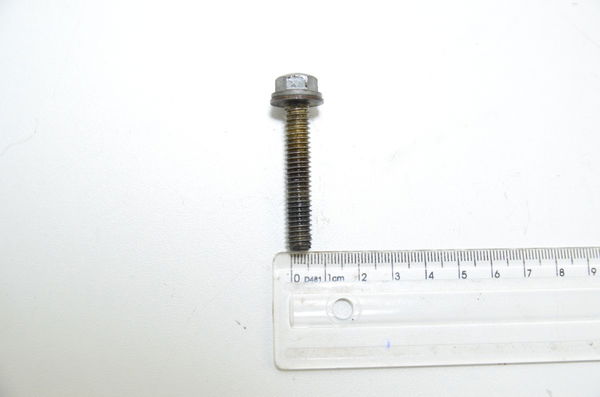 Parafuso 10x0,5 Cm Harley Touring Electra Glide 2010 Orig