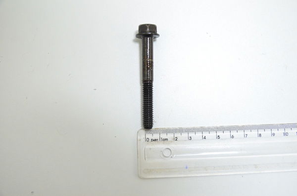 Parafuso 7x0,5 Cm Harley Touring Electra Glide 2010 Orig