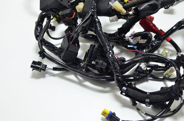 Chicote Principal Ducati Multistrada 1200 10-14 Original