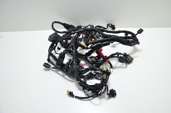 Chicote Principal Ducati Multistrada 1200 10-14 Original