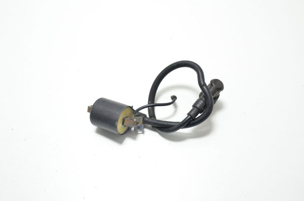 Bobina Ignição Honda Biz 125 05-08 Orig