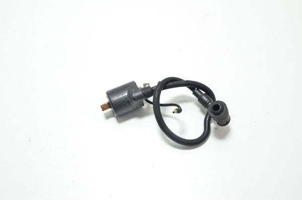 Bobina Ignição Honda Biz 125 05-08 Orig