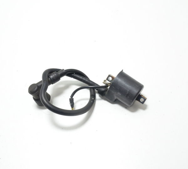 Bobina Ignição Honda Biz 125 05-08 Orig