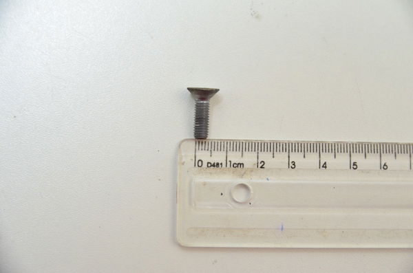 Parafuso 1,6x0,3 Cm Bmw S1000rr S 1000 Rr 10-14 Orig