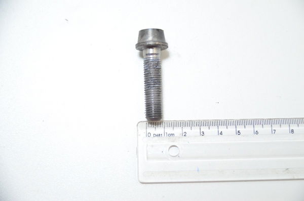 Parafuso 5x0,6 Cm Bmw S1000rr S 1000 Rr 10-14 Orig