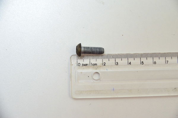 Parafuso 2x0,4 Cm Bmw S1000rr S 1000 Rr 10-14 Ori
