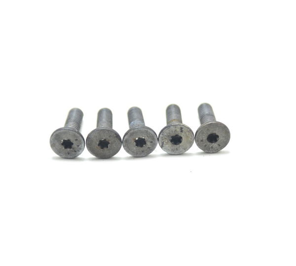 Parafuso Disco Freio Diant Bmw K1300 K 1300 R 08-15 Original