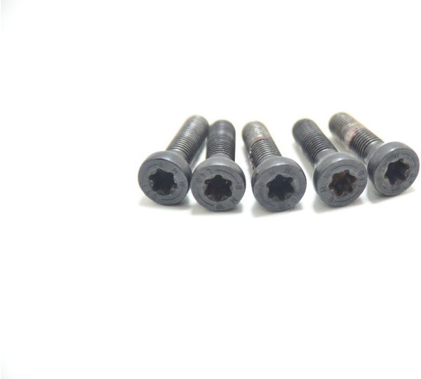 Jogo Parafuso Roda Traseira Bmw K1300 K 1300 R 08-15 Orig