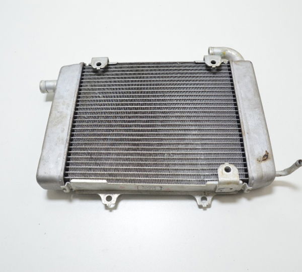 Radiador Lado Esquerdo Gl 1800 Gold Wing 2019 Tour