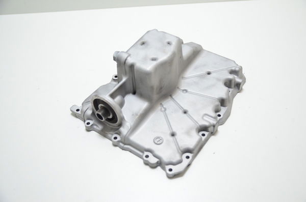 Tampa Carter Kawasaki Ninja 1000 Z 1000 10-13 Orig