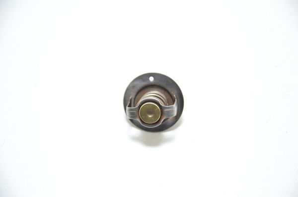 Válvula Termostática Yamaha Xtz 750 Super Tenere Original