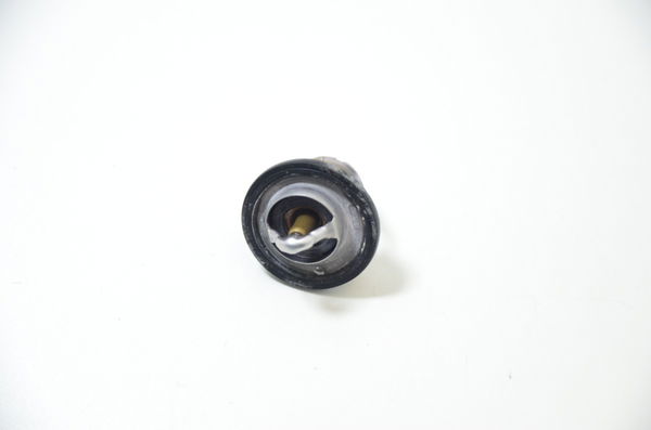 Válvula Termostática Suzuki Gsr 750 Gsr750 14-16 Original