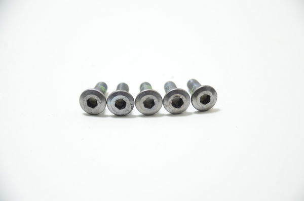 Parafusos Disco Freio Dian Honda Cb 250 F Twister 16-21 Orig