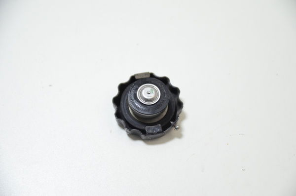 Tampa Radiador Honda Cbr 650 F 14-17 Original