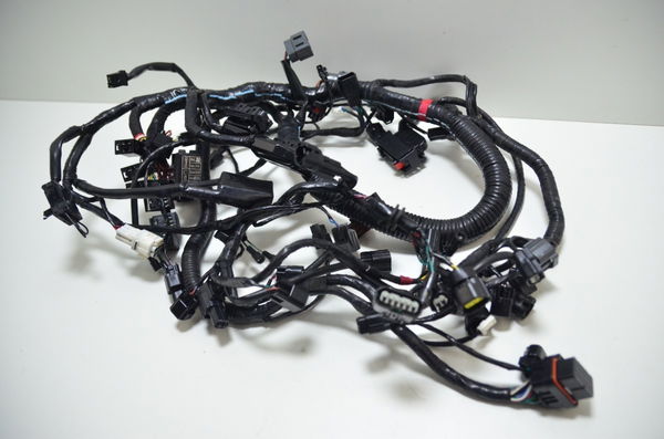 Chicote Principal Tft C/ Abs Triumph Tiger 800 Xrx 19-20-21