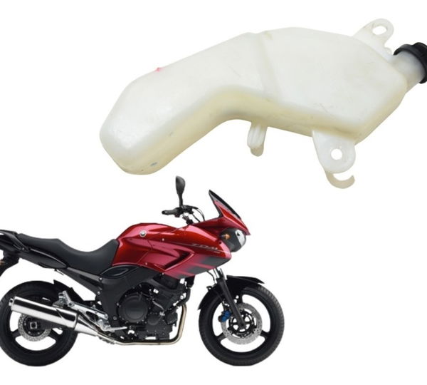 Reservatório Água Yamaha Tdm 900 02-08 Orig