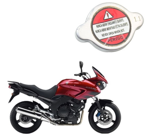 Tampa Radiador Yamaha Tdm 900 02-08 Orig