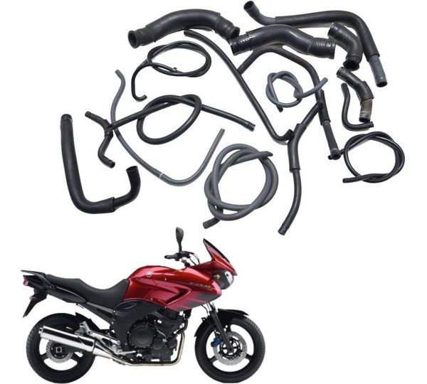 Kit Mangueiras Yamaha Tdm 900 02-08 Orig