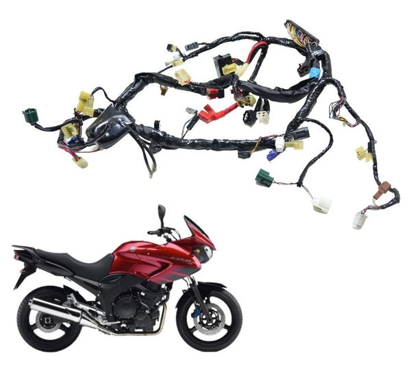 Chicote Principal Yamaha Tdm 900 02-08 Orig