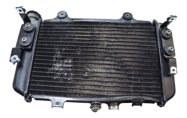 Radiador C/ Avaria Bmw G 310 Gs 2020-2023 Orig