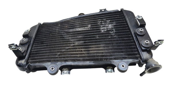 Radiador C/ Avaria Bmw G 310 Gs 2020-2023 Orig