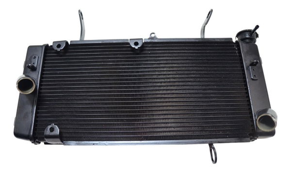 Radiador Suzuki Dl 1000 V Strom 14-19 Orig