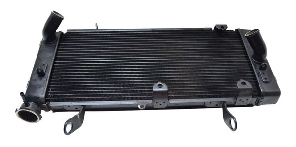 Radiador Suzuki Dl 1000 V Strom 14-19 Orig