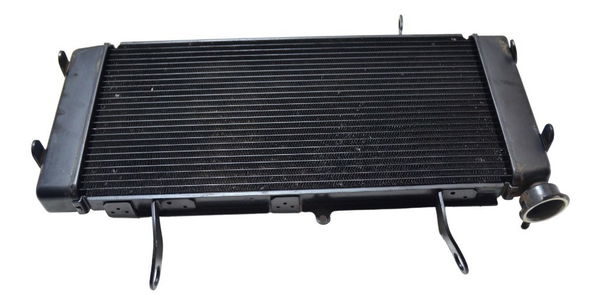 Radiador Suzuki Dl 1000 V Strom 14-19 Orig