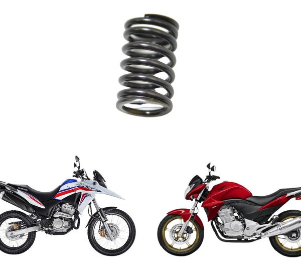 Mola Válvula Externa Honda Cb 300 Xre 300 Original